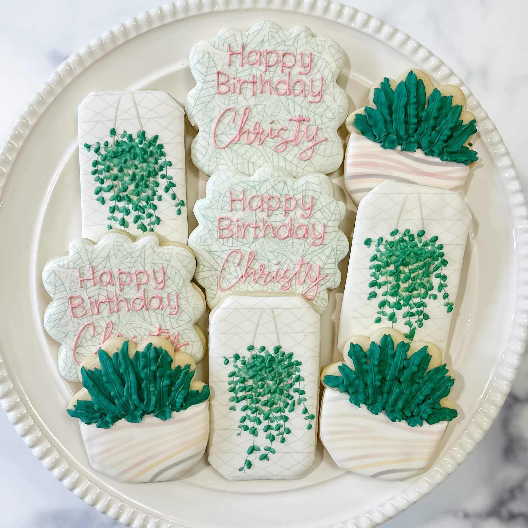 royal icing succulent cookies Custom Birthday Cookies
