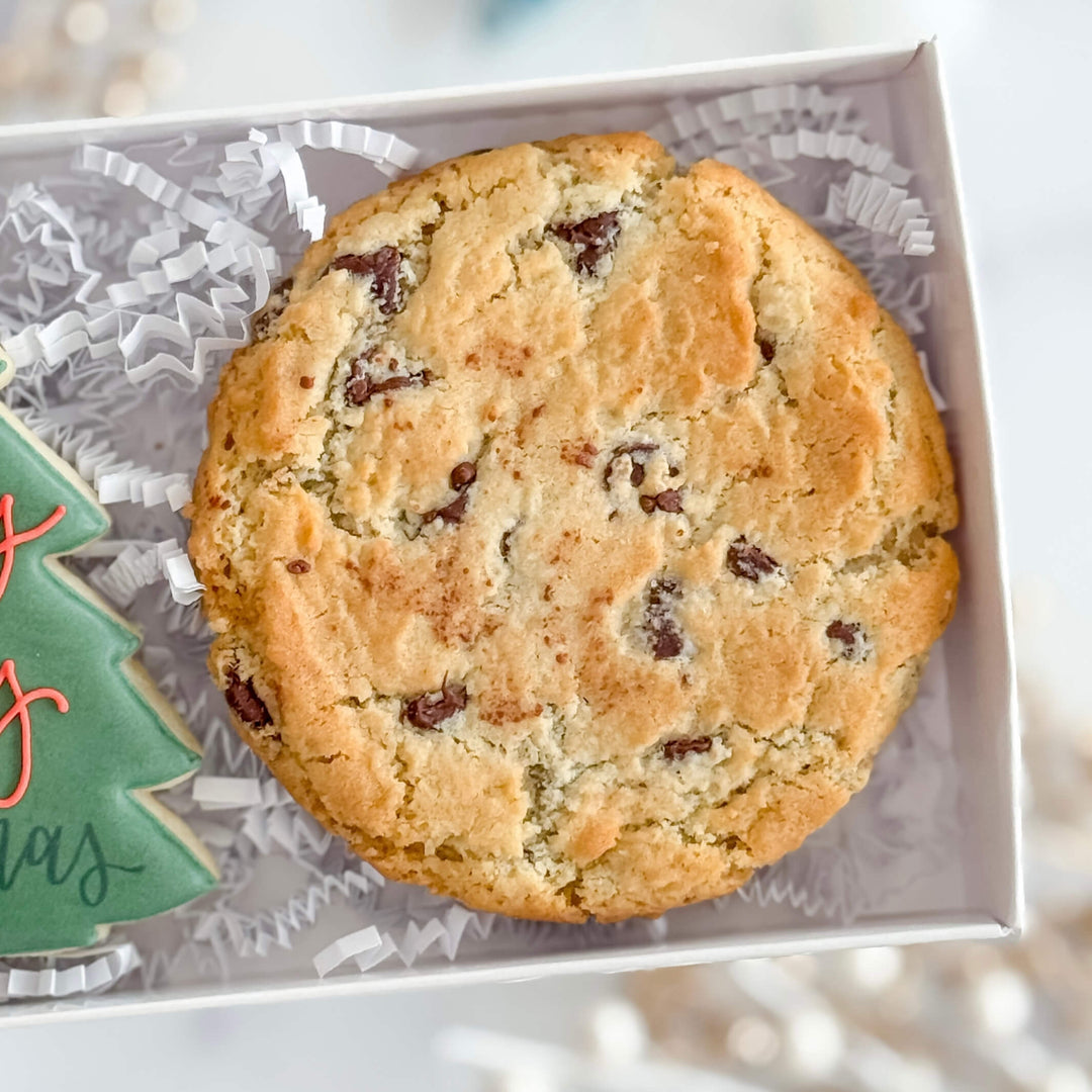 Christmas Duo | Holly Jolly