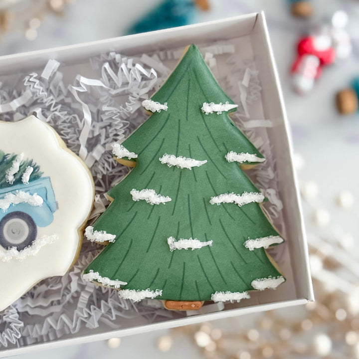 Christmas Duo | Christmas Tree Truck