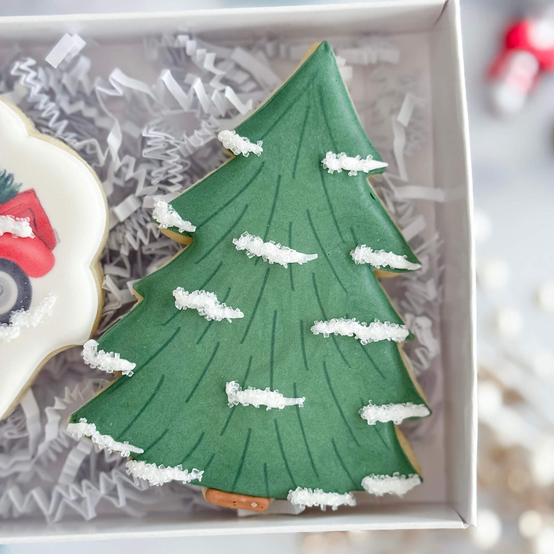 Christmas Duo | Christmas Tree Truck