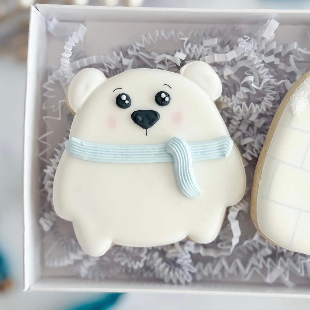 Christmas Duo | Polar Plunge