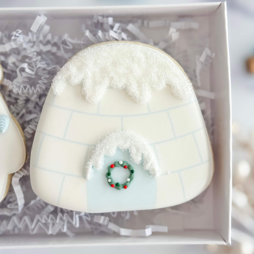 Christmas Duo | Polar Plunge