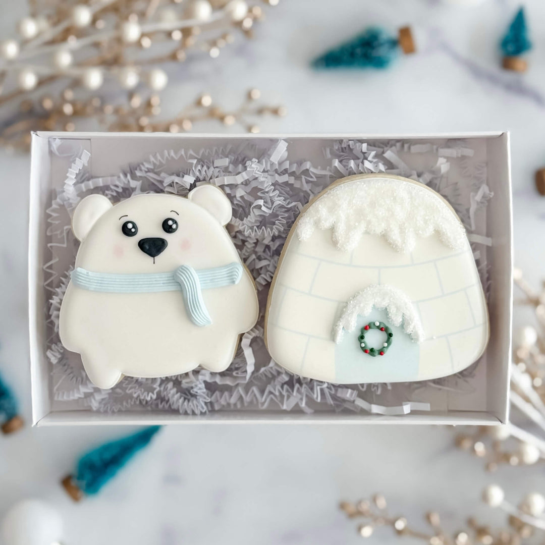 Christmas Duo | Polar Plunge