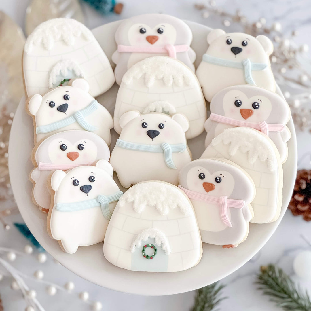 Christmas Set | Polar Plunge