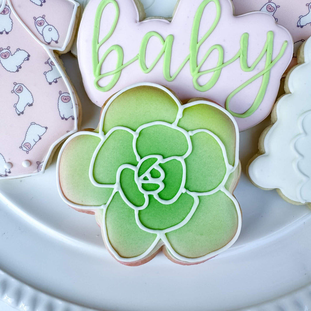 Decorated succulent sugar cookie, part of Baby Collection, perfect for baby showers and gifts.