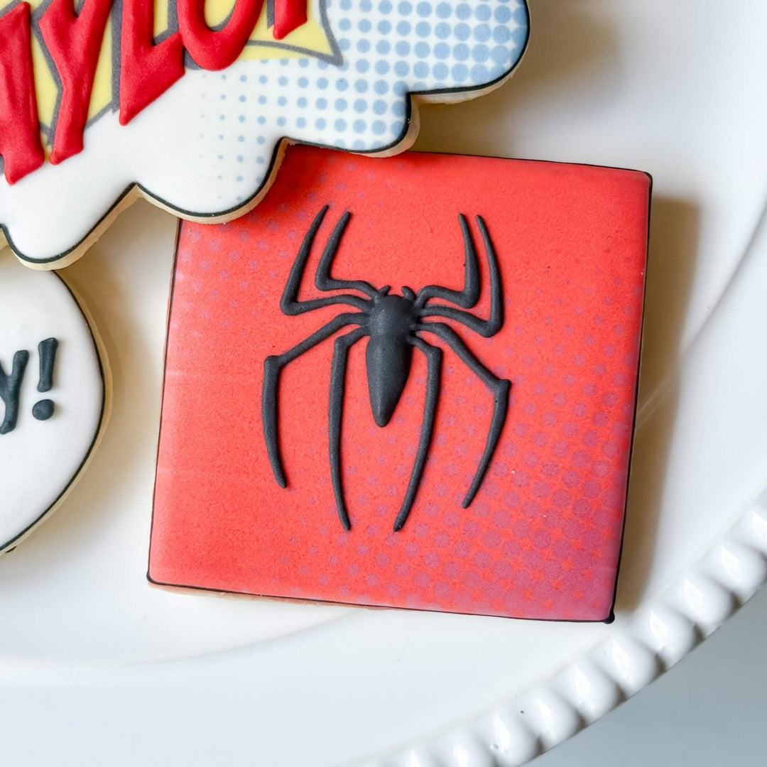 Birthday | NYC Superhero