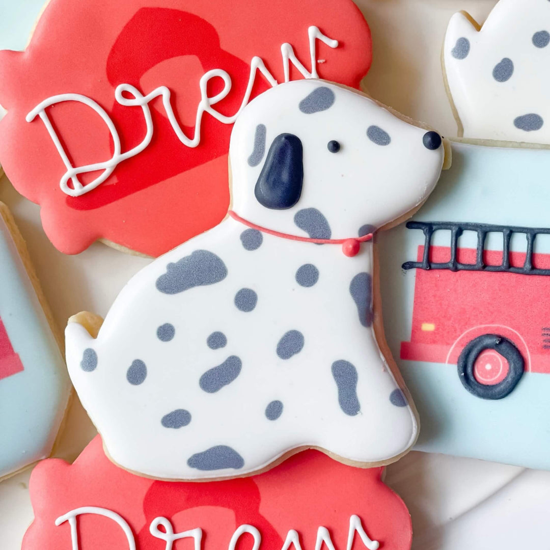 Birthday | Sound The Alarm