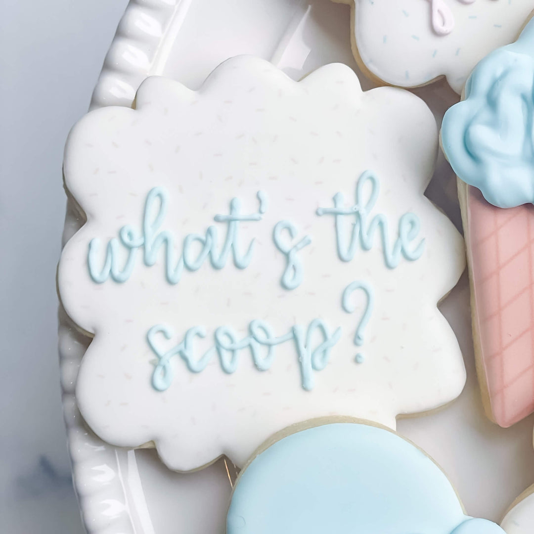 Gender Reveal | What's The Scoop?