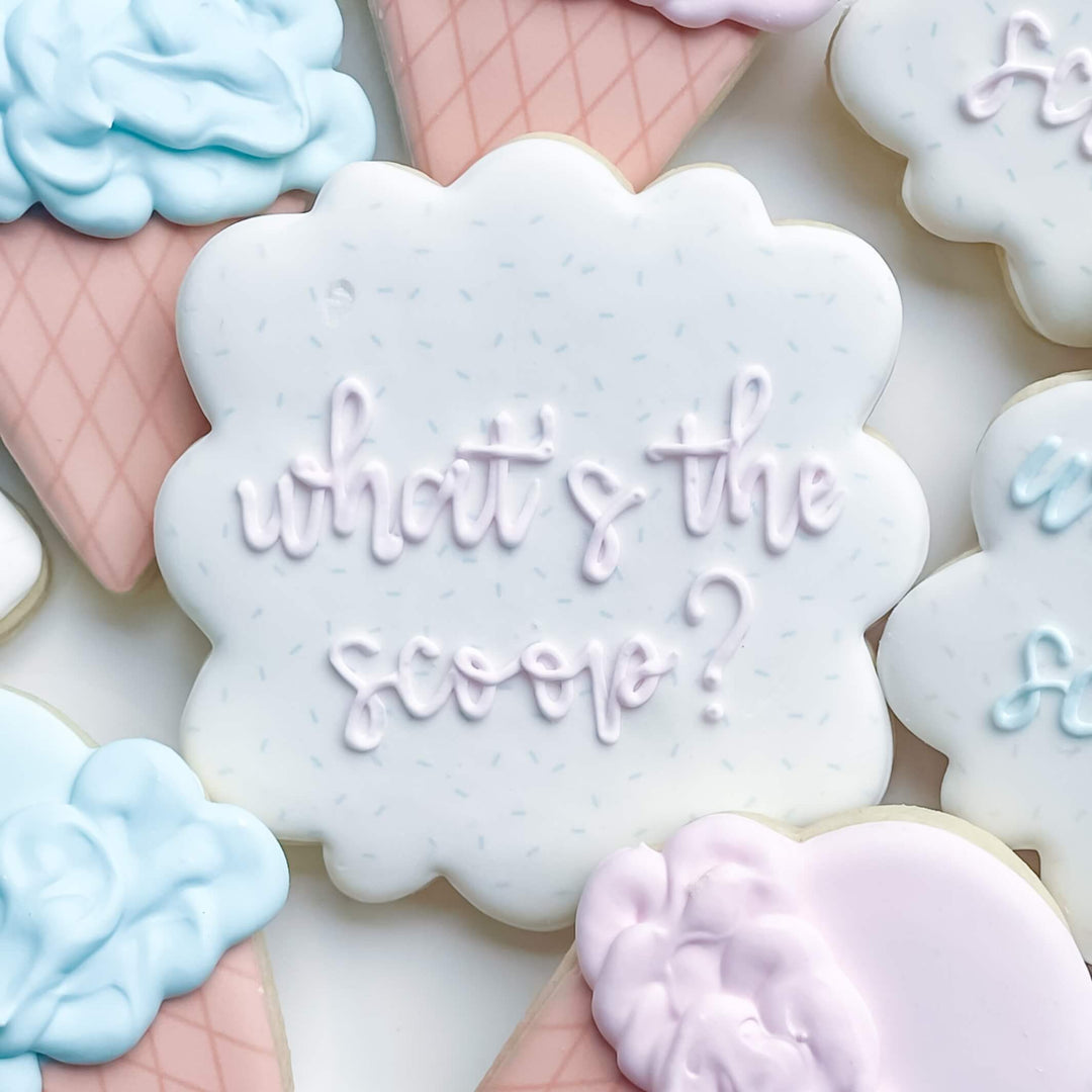 Gender Reveal | What's The Scoop?