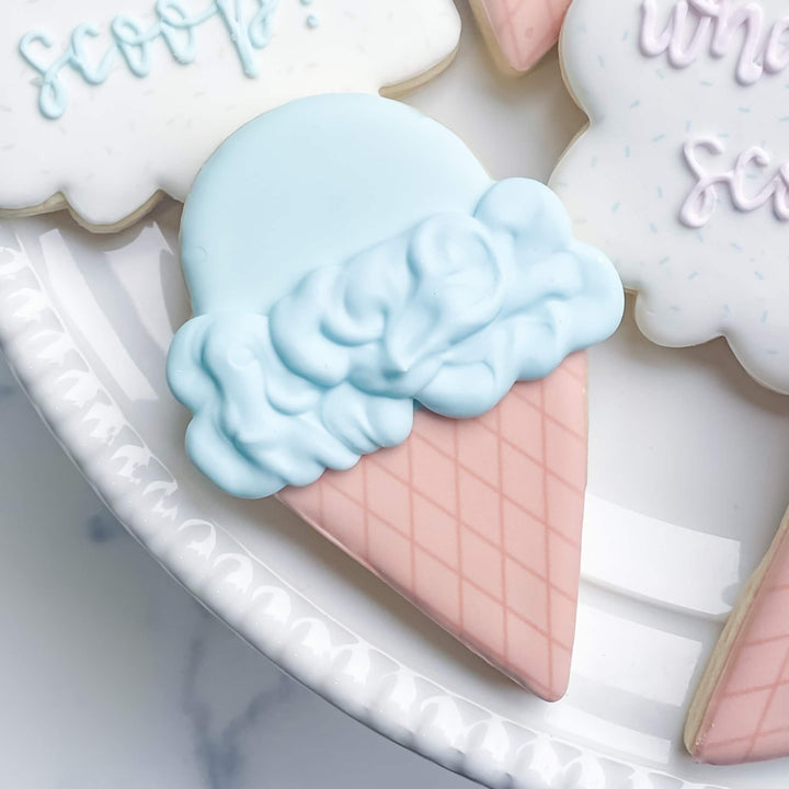 Gender Reveal | What's The Scoop?