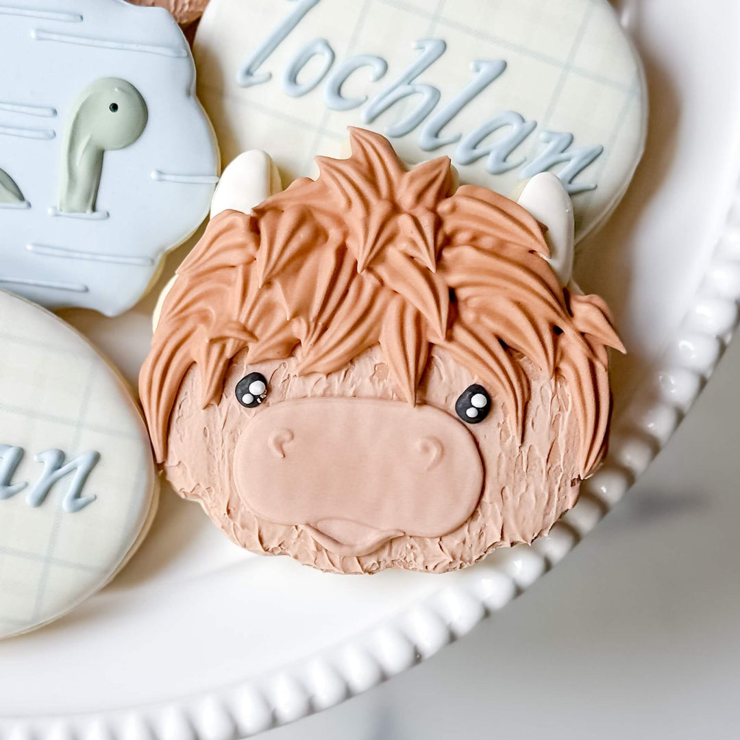 Birthday/Baby | Highland Celebration