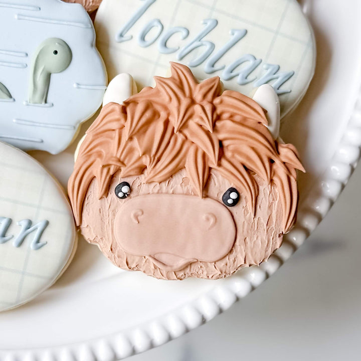 Birthday/Baby | Highland Celebration