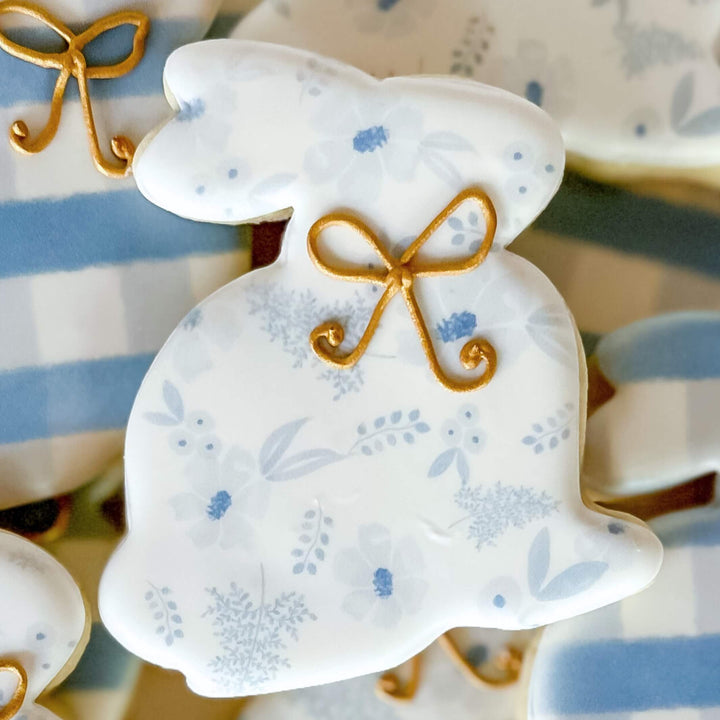 Baby Events | Baby Bunny