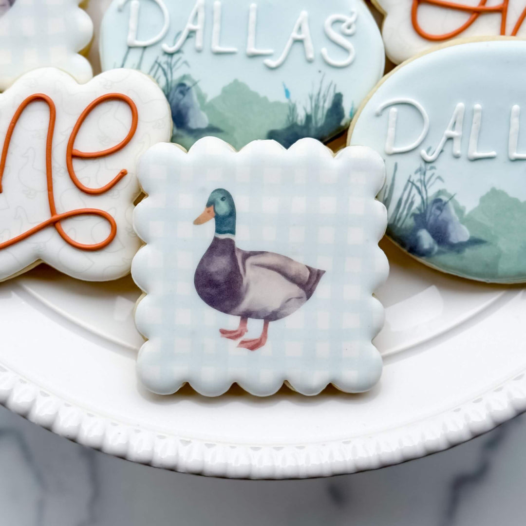 Birthday | Lucky Duck