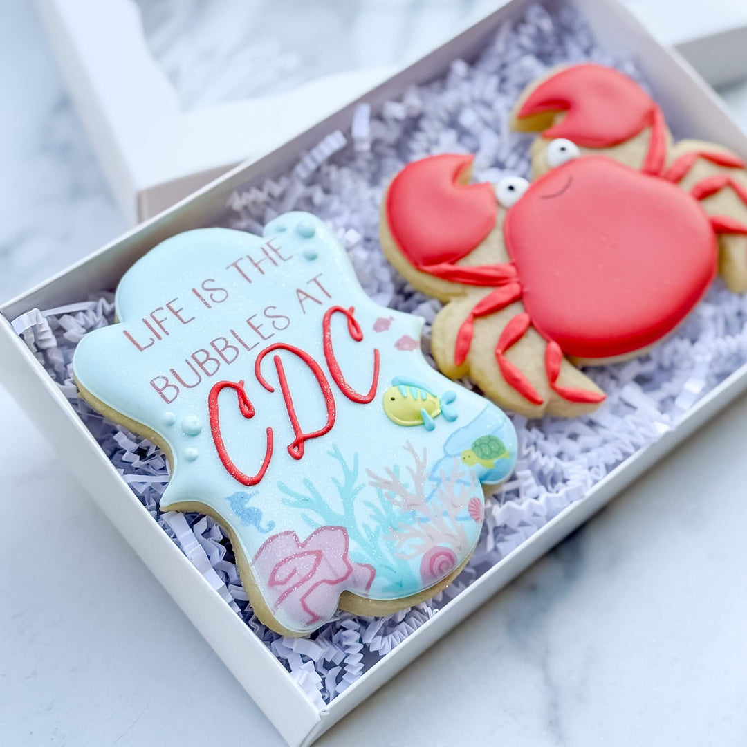 Carolina Dance Center Recital Duo 2026