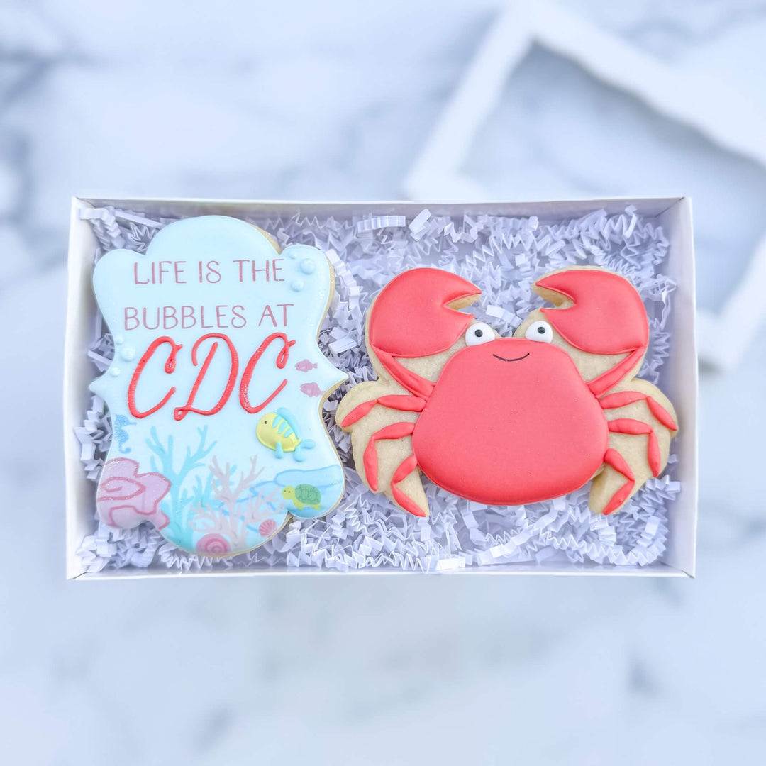 Carolina Dance Center Recital Duo 2026