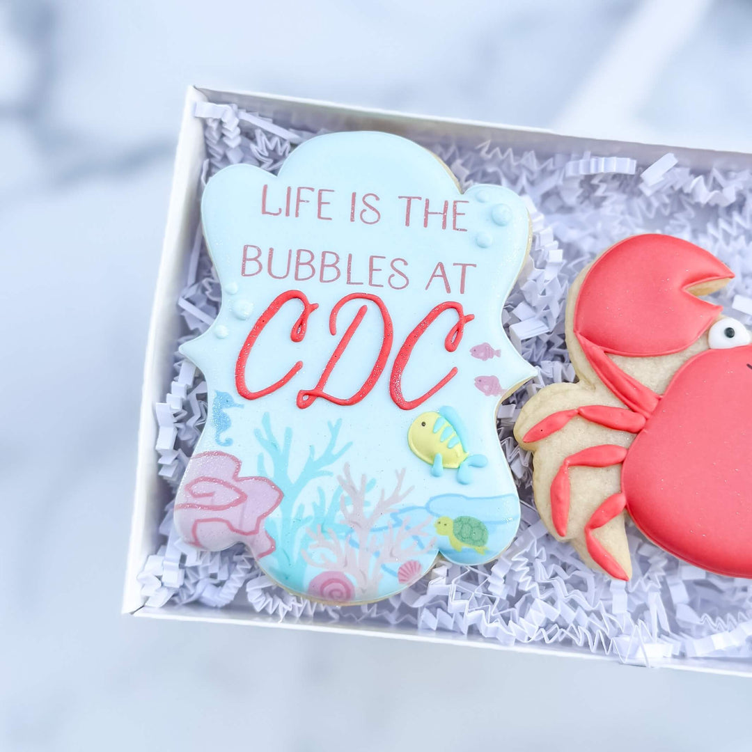 Carolina Dance Center Recital Duo 2026