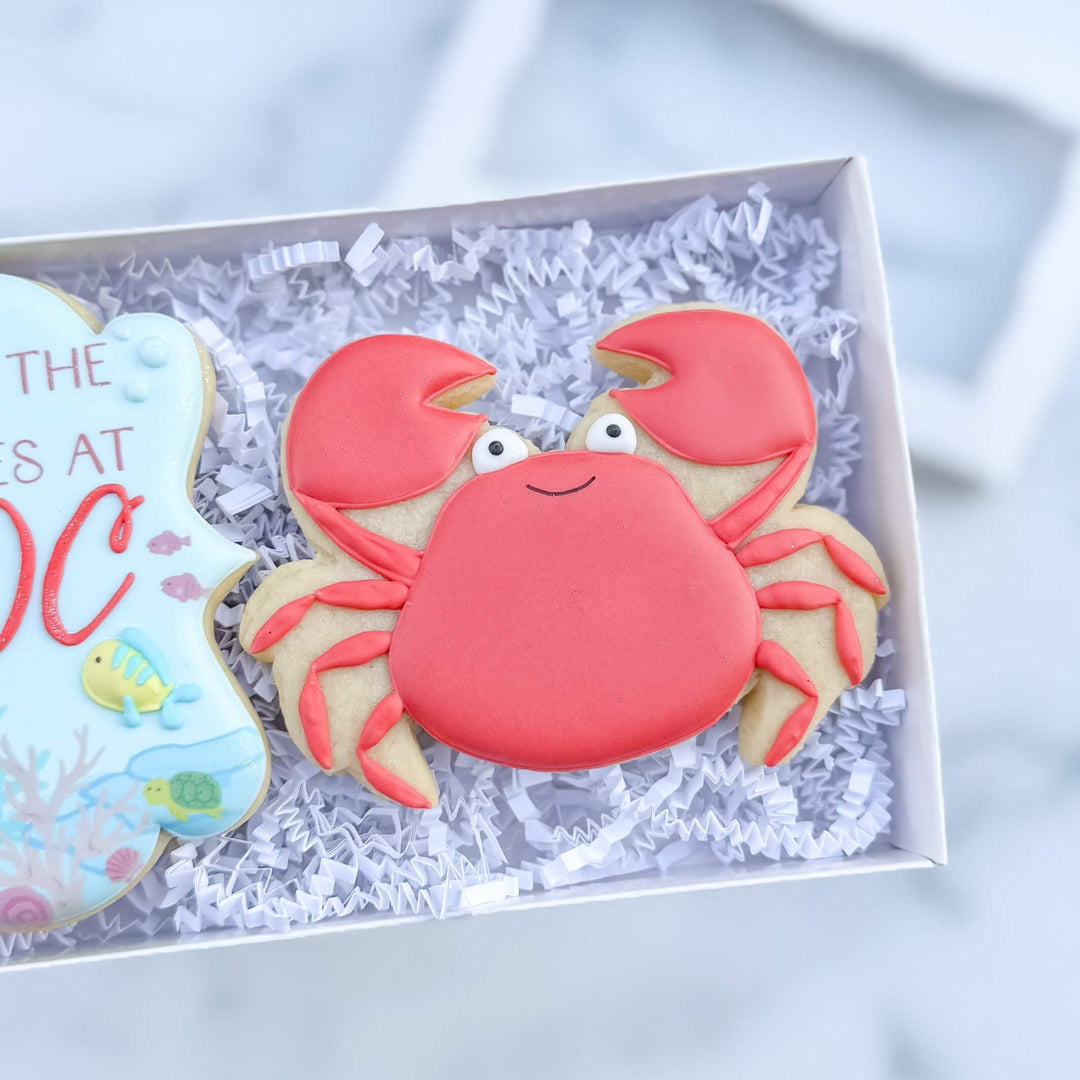 Carolina Dance Center Recital Duo 2026