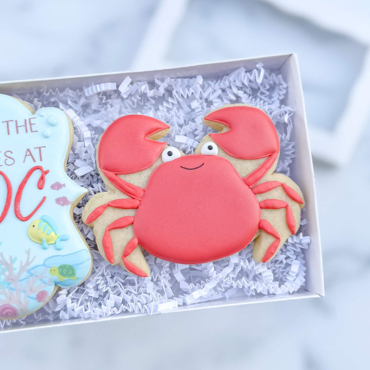 Carolina Dance Center Recital Duo 2026