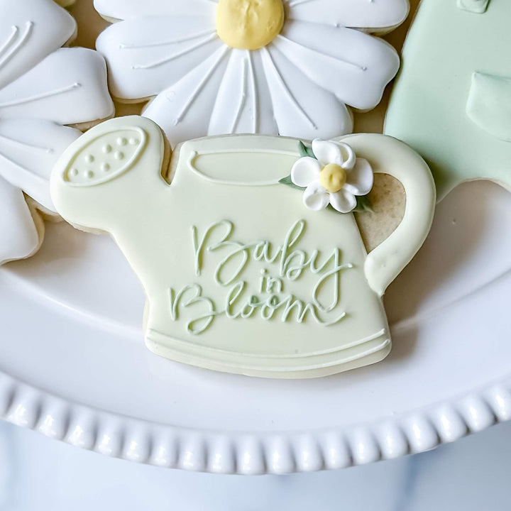 New Baby | Baby In Bloom