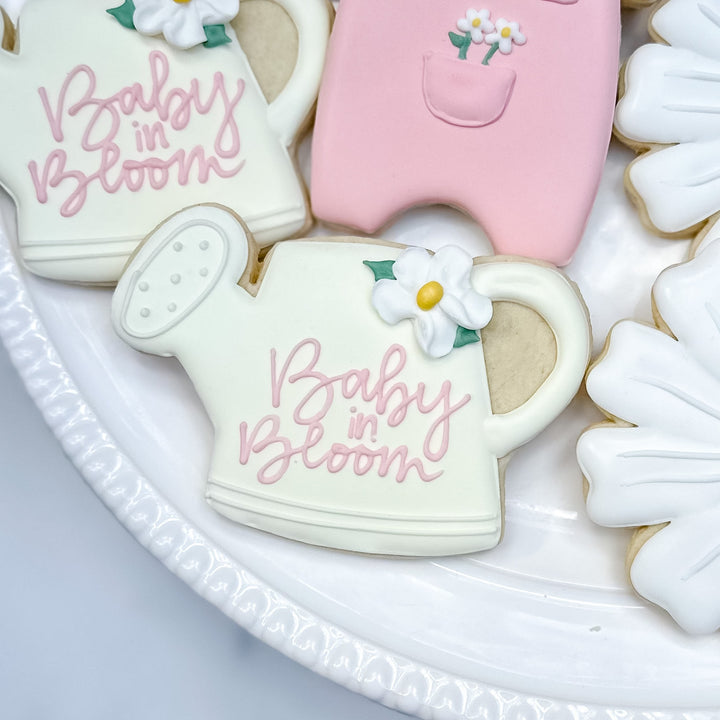 Baby | Baby In Bloom