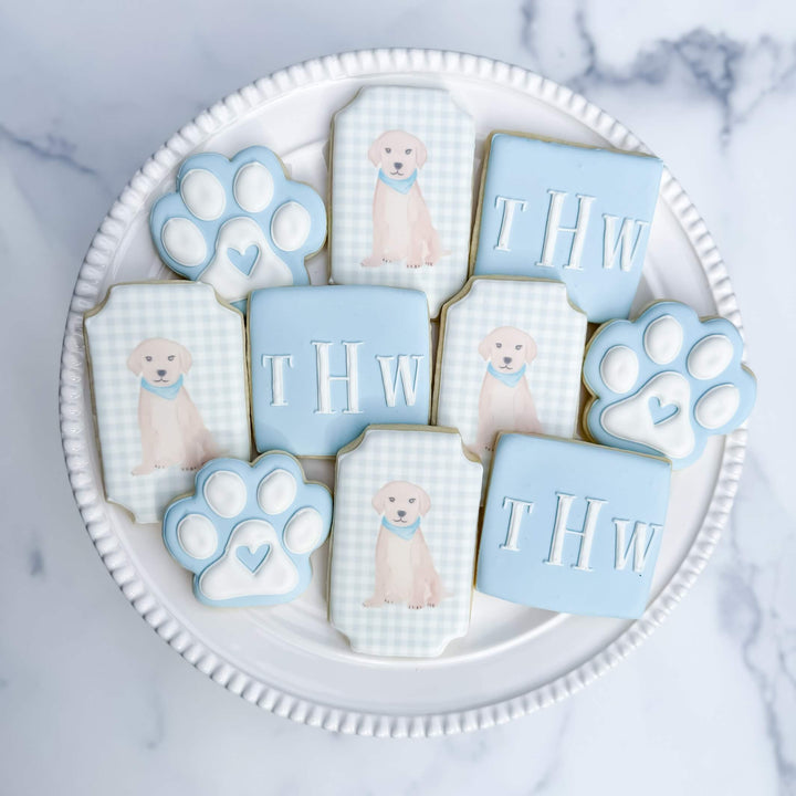 Newborn | Baby Boy & Puppy Theme