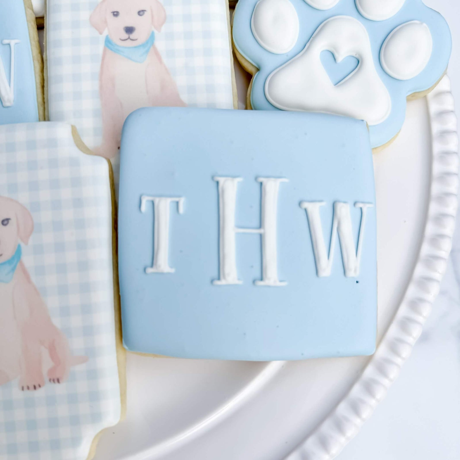 Newborn | Baby Boy & Puppy Theme - Southern Sugar Bakery