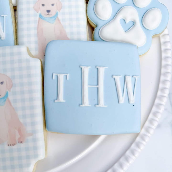 Newborn | Baby Boy & Puppy Theme