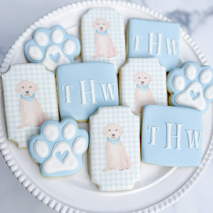 Newborn | Baby Boy & Puppy Theme