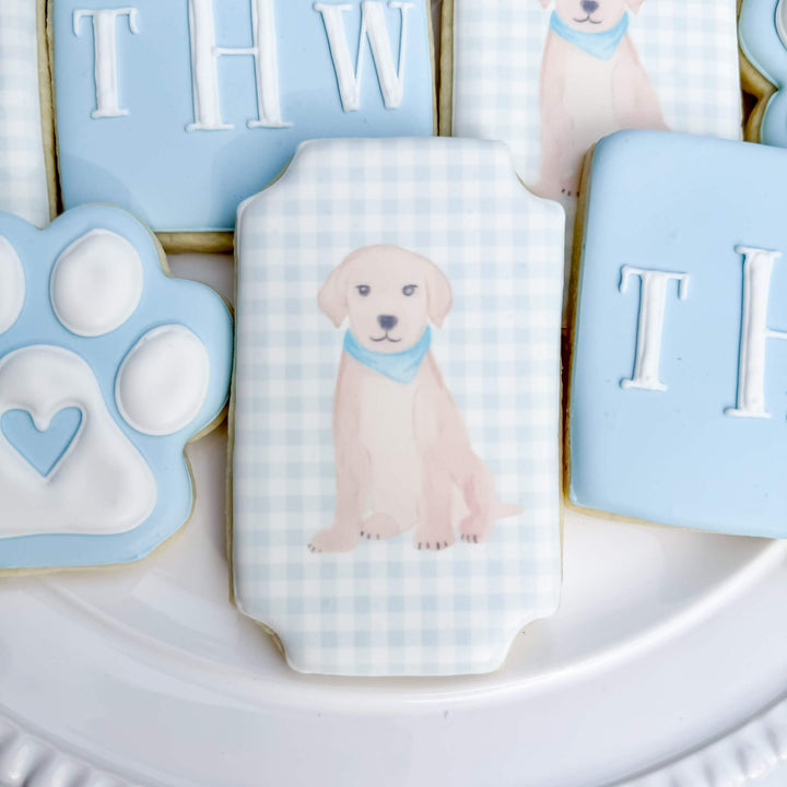 Newborn | Baby Boy & Puppy Theme