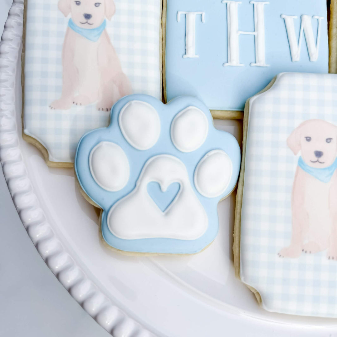 Newborn | Baby Boy & Puppy Theme