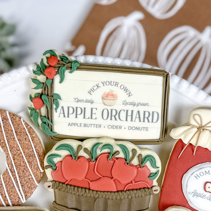 Fall Set | Day at the Orchard