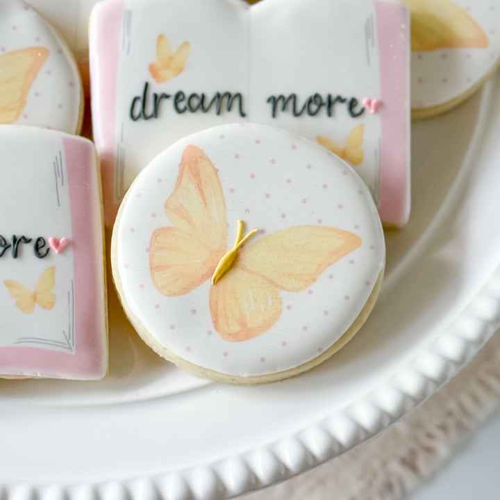 Dream More Collection