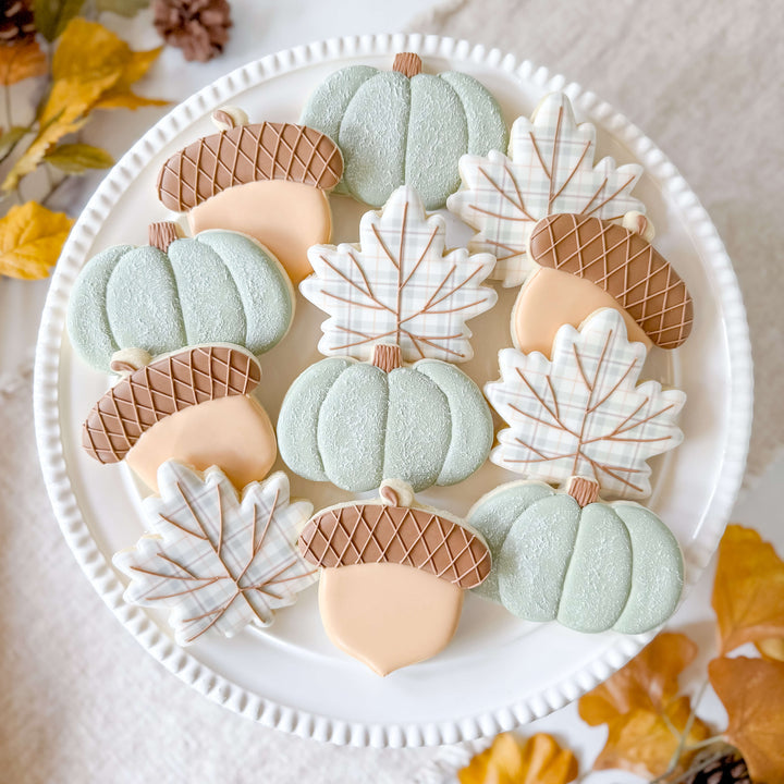 Fall Set | Cozy Autumn