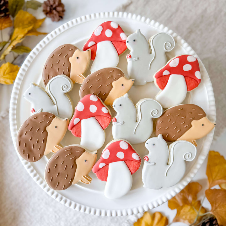 Fall Set | Forest Friends