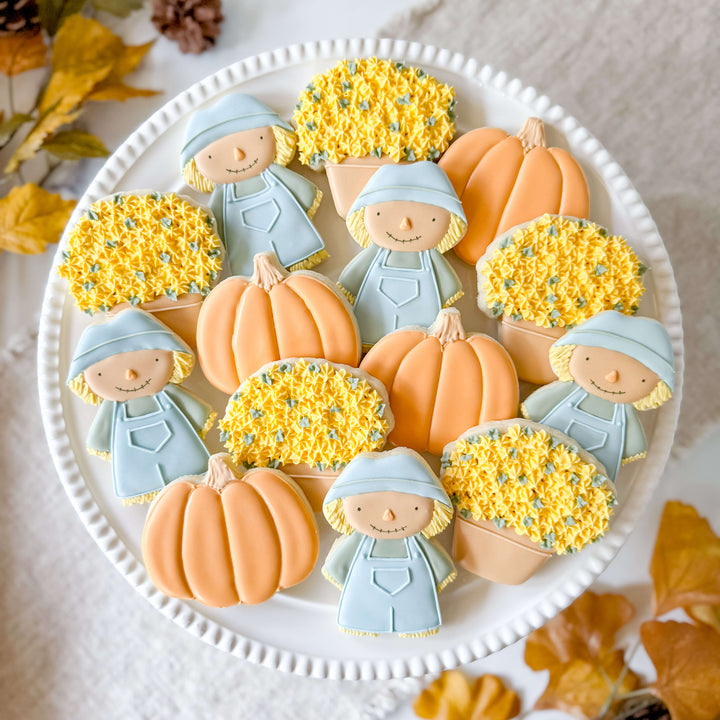Fall Set | Welcome Fall
