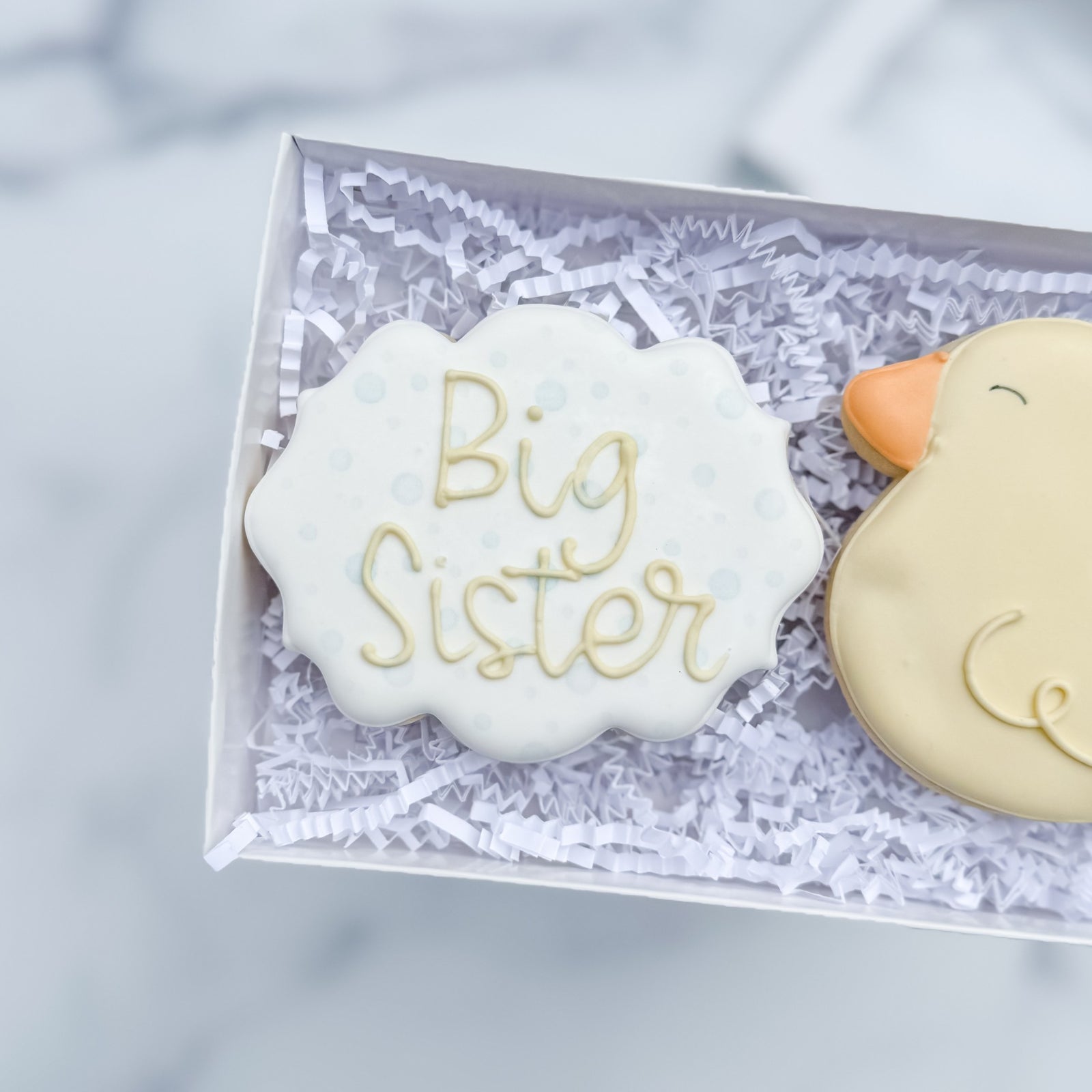 Baby Announcement Duo | Big Sister - Southern Sugar Bakery