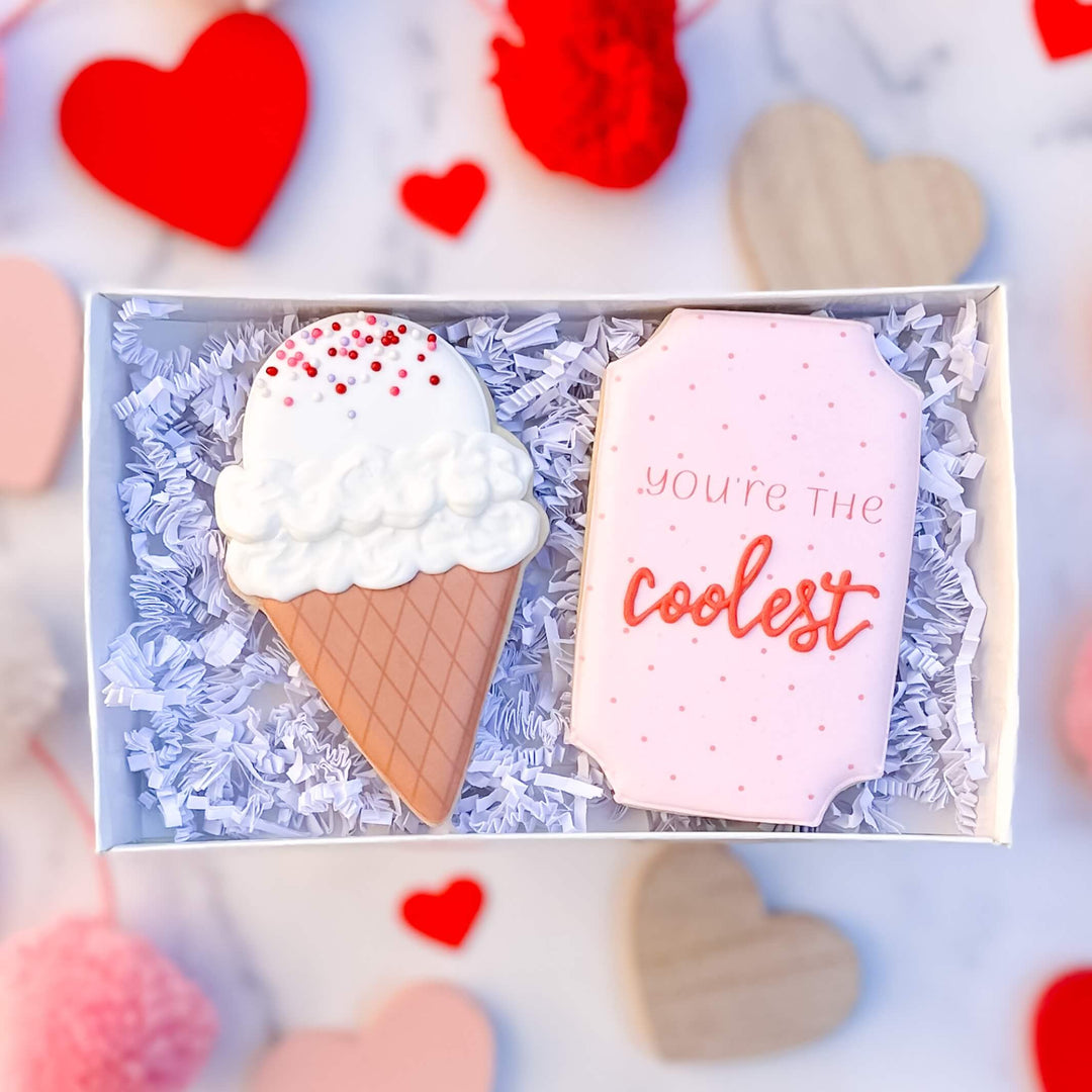 Valentine's Day Duo | You're the Coolest