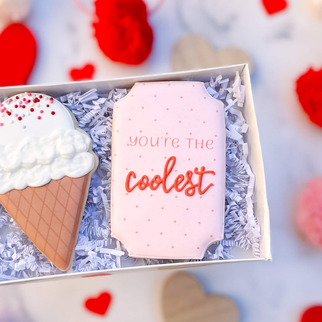 Valentine's Day Duo | You're the Coolest