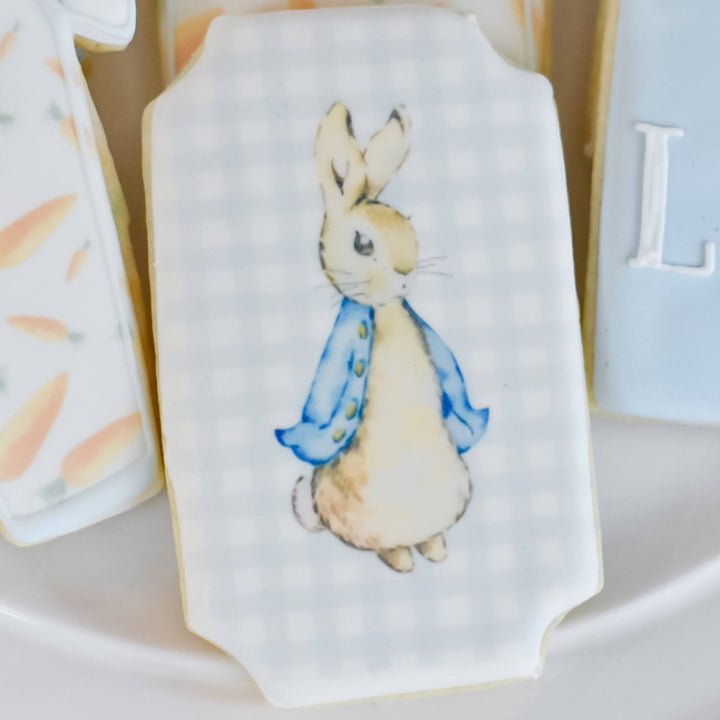 Baby Collection | Peter Rabbit Boy