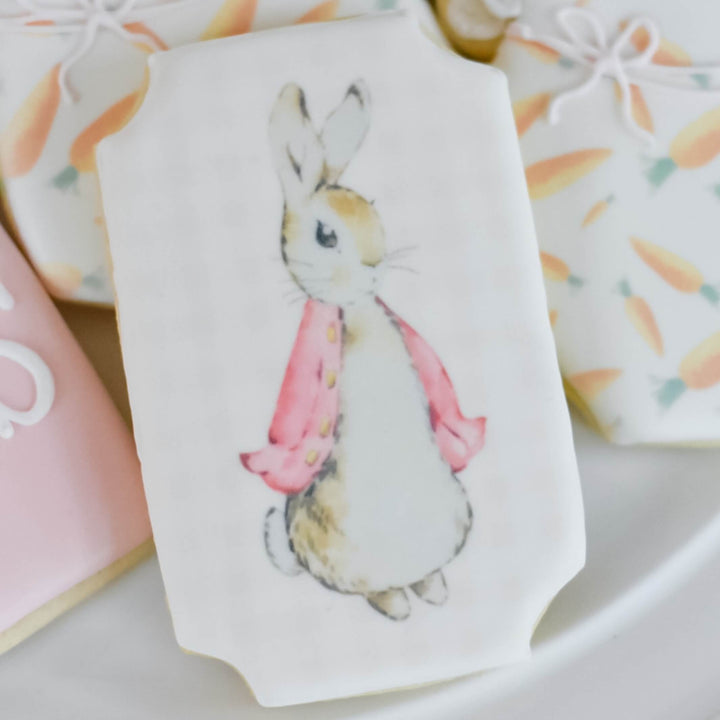 Baby Collection | Peter Rabbit Girl